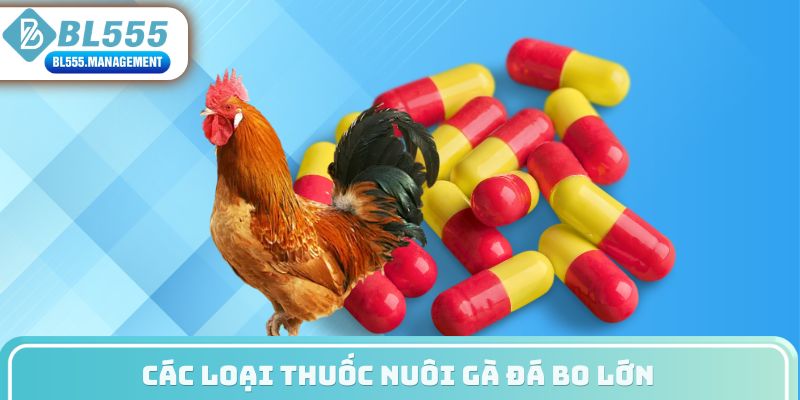 Các dòng thuốc nuôi gà đá bo lớn
